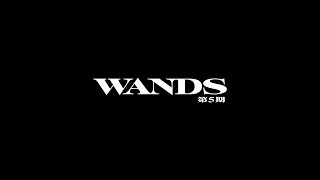 WANDS 「David Bowieのように」 MV [upl. by Ezar]