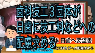 歯科技工３団体が日歯に技工料などへの配慮求める／日歯「検討して対応決める」 日本歯科新聞2024年6月4日 歯科技工士ニュースβ版 [upl. by Osyth]