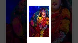 Happy Navratri 🌺love festival ytshorts thechosenones garba [upl. by Cyrille]