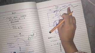 Anti Gastrointestinal drugs Part 1 pharmacology lippincot katzung [upl. by Demetra]