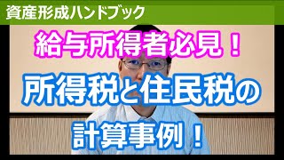 給与所得者必見！所得税と住民税の具体的な計算事例をご説明します！【資産形成ハンドブック】 [upl. by Asek572]