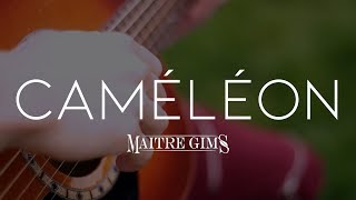 CAMÉLÉON  Maitre Gims  Cover Fingerstyle Guitare MatDeuh Tablature en description [upl. by Willett6]