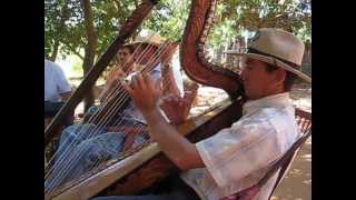 Traditional Paraguayan Harp Music [upl. by Huey]