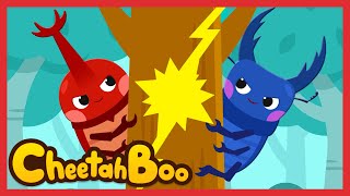 NEW Rhino Beetle vs Stag Beetle❗  Insect songs  Bugs  Nursery rhymes  Kids song  Cheetahboo [upl. by Peria874]