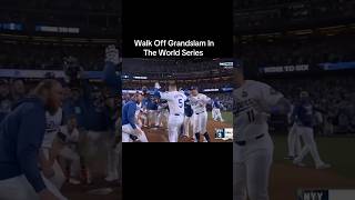 Walk Off Grand Slam In The World Series sports baseball mlb worldseries foryou [upl. by Naras973]