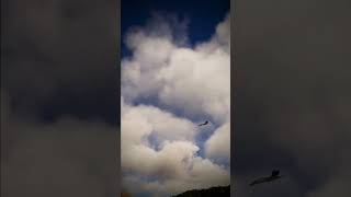 F18 FlyBy f18 jet flyby sound aviation topgun [upl. by Ortrud]