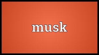 Musk Meaning [upl. by Corinne826]