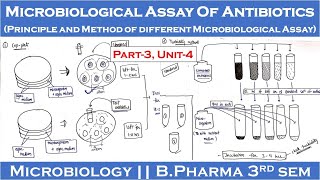 Microbiological assay of antibiotics  Principle and method of different microbiological assay  P3 [upl. by Reahard]