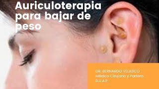 PUNTOS DE AURICULOTERAPIA PARA BAJAR DE PESO [upl. by Airrotal]