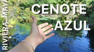 CENOTE AZUL QUINTANA ROO [upl. by Releehw]