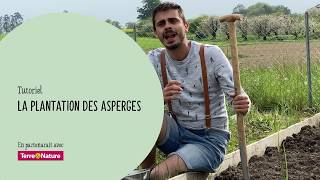 Plantation des asperges [upl. by Akessej]