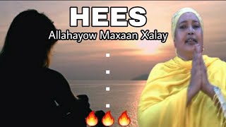 HEES  Allahayow Maxaan Xalay  Marwo Cabdi Axmed  Kaban  Lyrics [upl. by Bohannon]