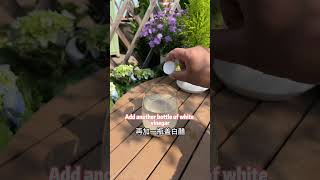 植物生根水怎么制作How to make rooting water for plants 花草 分享 养花 garden 园艺 https 教学 种植技术 好物推荐 科普 [upl. by Idnac635]