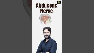 Abducens Nerve shorts utkarshnursing rajusir [upl. by Oisor]