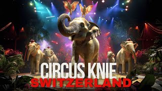 LAST SHOW OF CIRCUS KNIE 2022 in Luzern Switzerland  Hallelujah [upl. by Anilah]