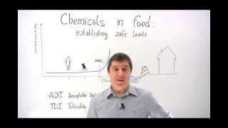 Chemicals in food establishing safe levels [upl. by Latsyrcal]