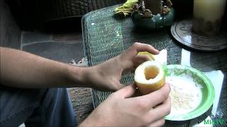 How to Save Cucumber Seeds  A Seed Saving Series [upl. by Llenoil]