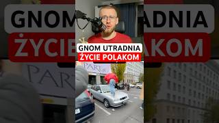 Gnom utrudnia życie Polakom crawly gnom [upl. by Ber]