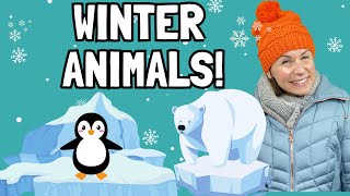 Learn About Winter Animals  Toddler Songs  Preschooler Learning  Happy Youre Here [upl. by Enait]