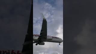 Caribbean airlines 737 arrIving SXM [upl. by Dilisio961]