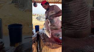 Amazing  Fish Cutting Skill shortsfeed [upl. by Orodisi]