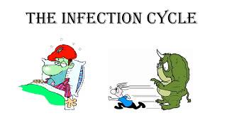 The Infection Cycle [upl. by Moersch]