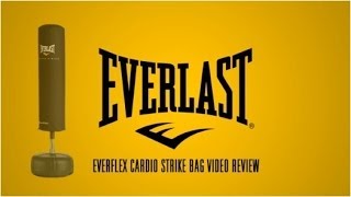 Everlast Everflex Cardio Strike Bag Video Review [upl. by Cerveny50]