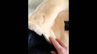 Simmons Bilt B6 Sheepskin Jacket Review [upl. by Nathan256]