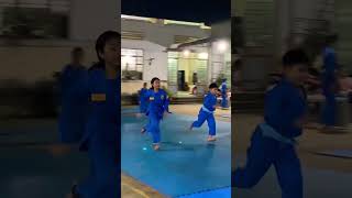 Vovinam shots nhachay vovinam [upl. by Mitchell555]