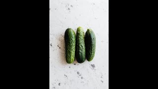 How to Grow Cucumbers  Easy and abundant cucumbers are one of our favorites to grow [upl. by Datnow]