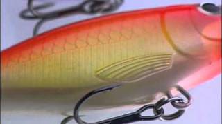 Rapala XRap Shad Shallow [upl. by Lisetta422]