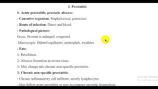 Prostatitis [upl. by Thgirw]