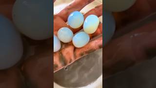 OPALINE OPALITE Eggs 🪺  Syn Gemstone  opaline synthetic glass shorts [upl. by Breech807]