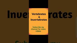 vertebrates and invertebrates [upl. by Boniface834]