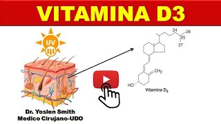 VITAMINA D COLECALCIFEROL SINTESIS FUNCIÓN ¡FÁCIL [upl. by Anwat]