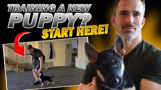 First Step to Training Your New Puppy [upl. by Rramel281]