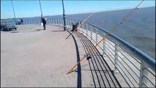 PESCANDO EN LA COSTANERA NORTE [upl. by Noach195]