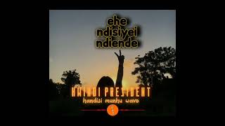 Hwindi President Handisi munhu wavo Lyrical Video [upl. by Grobe]