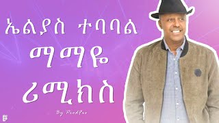 Elias Tebabal X ProdFre  Mamaye  ኤልያስ ተባባል X ፕሮድፍሬ  ማማዬ  New Ethiopian Remix [upl. by Symon]