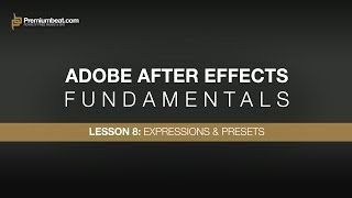 Adobe After Effects Fundamentals 8 Advanced Expressions amp Presets [upl. by Byrne]