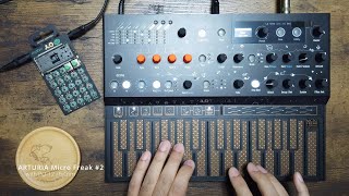 ARTURIA MicroFreak 2 with PO12 rhythm [upl. by Airekal125]