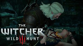 The Elvish Guide  The Witcher 3 Wild Hunt 008 [upl. by Leonsis]