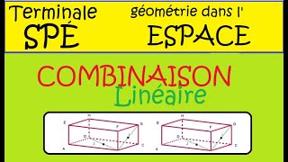 Terminale Spé Maths Espace Les combinaisons linéaires Coplanarité ex3 [upl. by Kcirred]