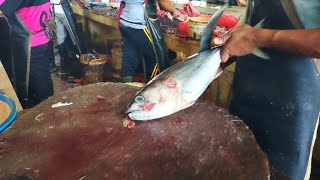 1000 Dollar Amerika  Skills In Cutting Tuna Shadow Fish the Most Expensive Fish In The World [upl. by Lira]