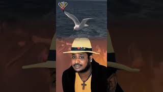 Mikiyas Chernet Lyrics ሚኪያስ ቸርነት [upl. by Anirad]