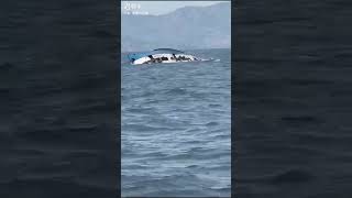 The boat sank while entering Greece from Turkey tiktok danki tiktok shorts viral [upl. by Gibbons]