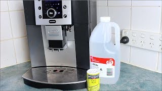 Homemade Coffee Descaler  How to video [upl. by Eecart]