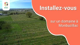 Domaine viticole à vendre en Dordogne Monbazillac 🍇🍷 [upl. by Belter]