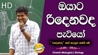 සංසර්ගෙ වෙලාවෙ පහරදීලා පලායන්න එපා 😂  Dinesh Muthugala  dineshmuthugala muthugalasir [upl. by Cyndie]