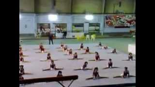 Girls Gymnastics in Iran [upl. by Lauretta640]